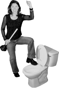 power assisted flush toilet